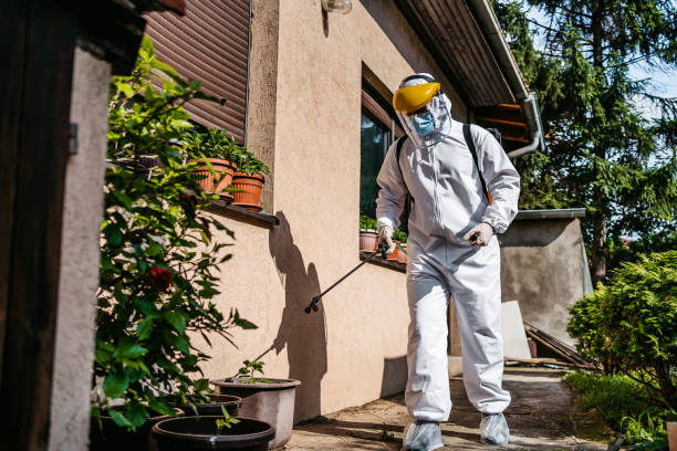 Best Pest Prevention Services  in St Charles, MI