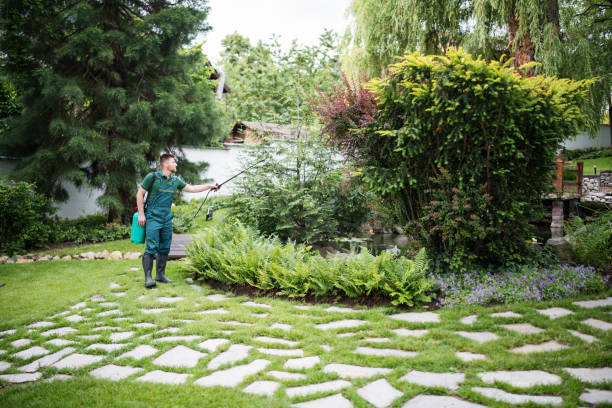 Best Wasp Removal Services  in St Charles, MI
