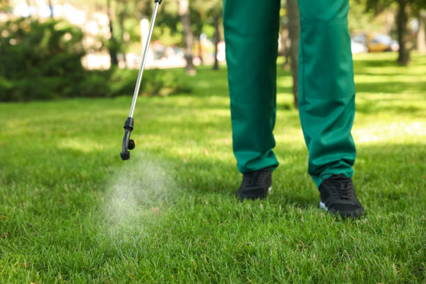 Best Commercial Pest Control Services  in St Charles, MI