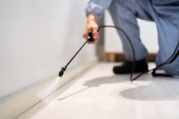 Best Wasp Removal Services  in St Charles, MI