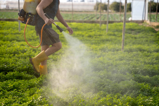 Best Pest Prevention Services  in St Charles, MI
