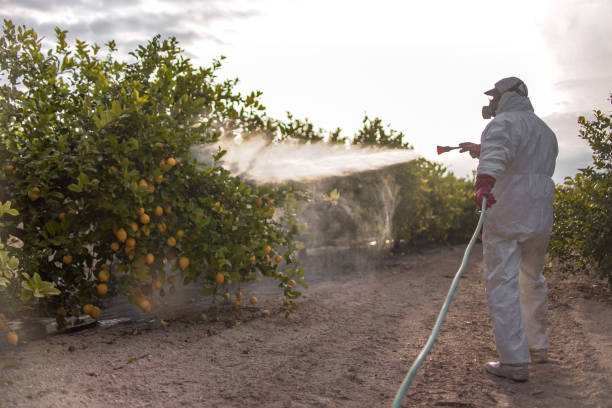 Best Pest Control Near Me  in St Charles, MI