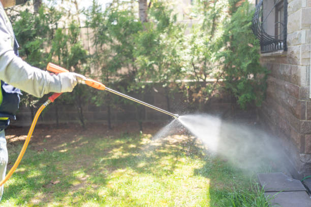 Best Bed Bug Extermination  in St Charles, MI