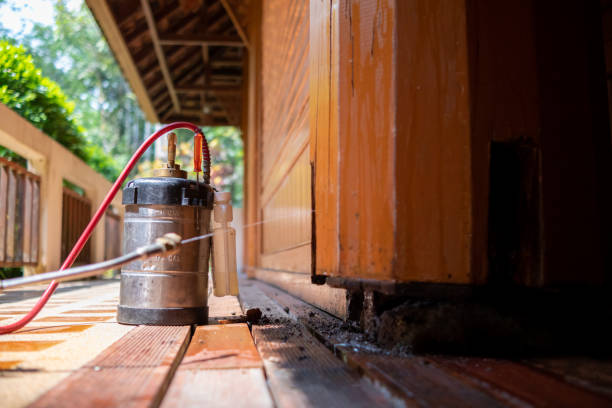 Best Exterminator Services  in St Charles, MI