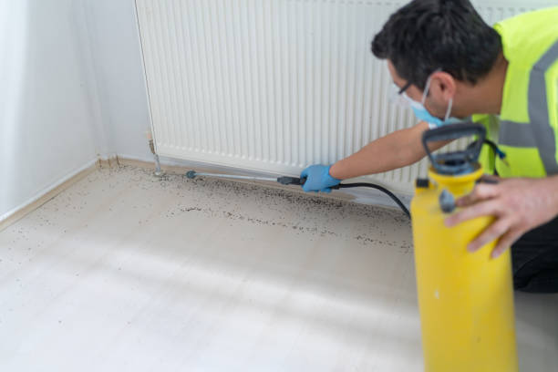 Pest Control for Restaurants in St Charles, MI
