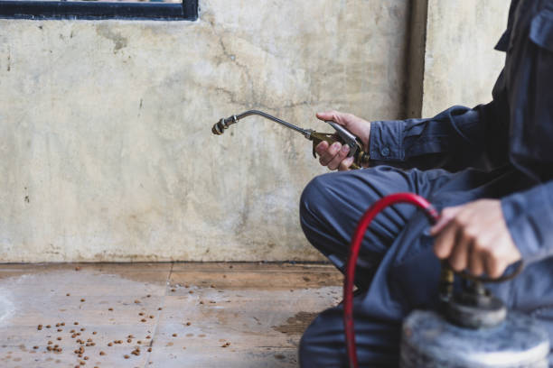 Best Mosquito Control Services  in St Charles, MI