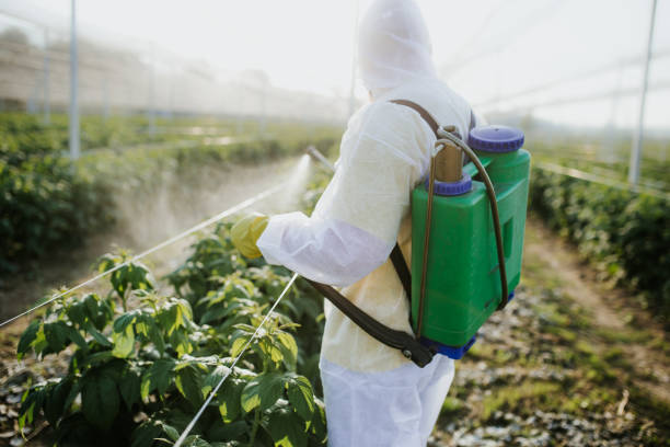 Trusted St Charles, MI Pest Control Experts